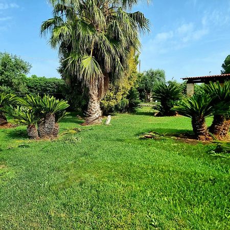 B&B Rosa Podere 28 Palagianello Екстер'єр фото